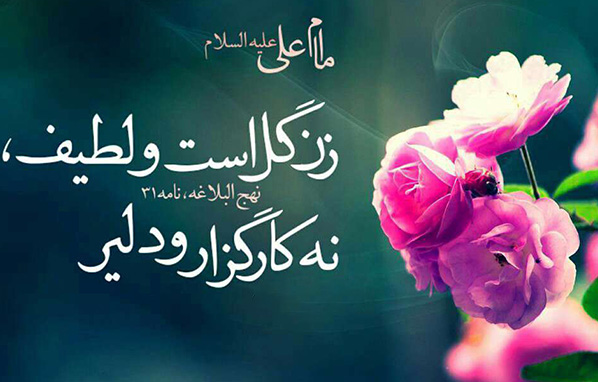 کار-کردن-خانم